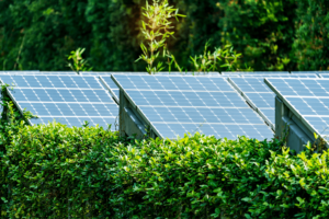 Sustentabilidade e Energia Solar um Compromisso com o Planeta